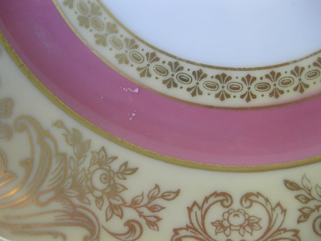 12 PT Bavaria Tirschenreuth Gold Gilt Decorated Salad Plates - 5