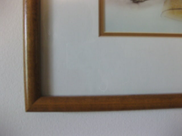Framed and Matted RC Gorman Navajo Woman Print - 6
