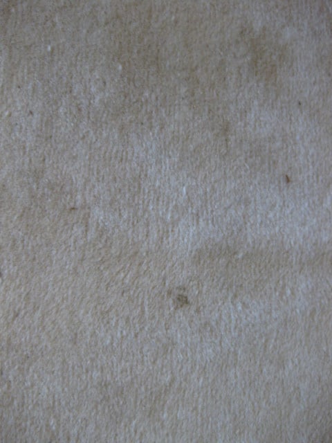 Hand Woven Floral Design Ivory with Black Border Wool Area Rug - 10