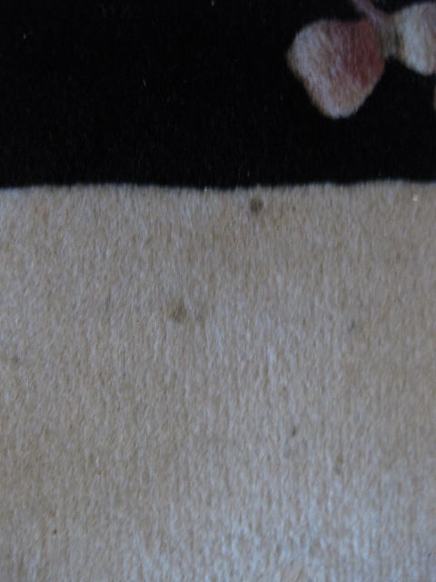 Hand Woven Floral Design Ivory with Black Border Wool Area Rug - 12