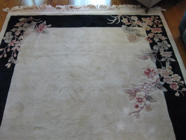Hand Woven Floral Design Ivory with Black Border Wool Area Rug - 2