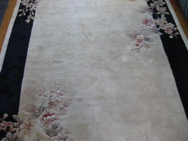 Hand Woven Floral Design Ivory with Black Border Wool Area Rug - 3