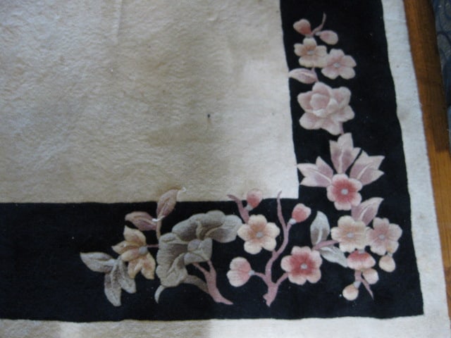 Hand Woven Floral Design Ivory with Black Border Wool Area Rug - 6