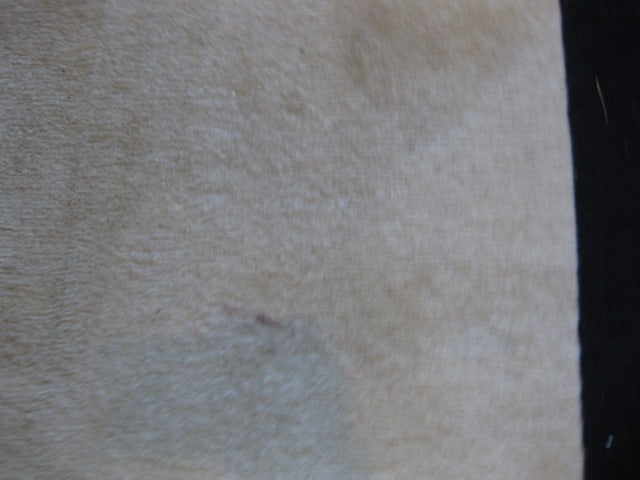 Hand Woven Floral Design Ivory with Black Border Wool Area Rug - 9