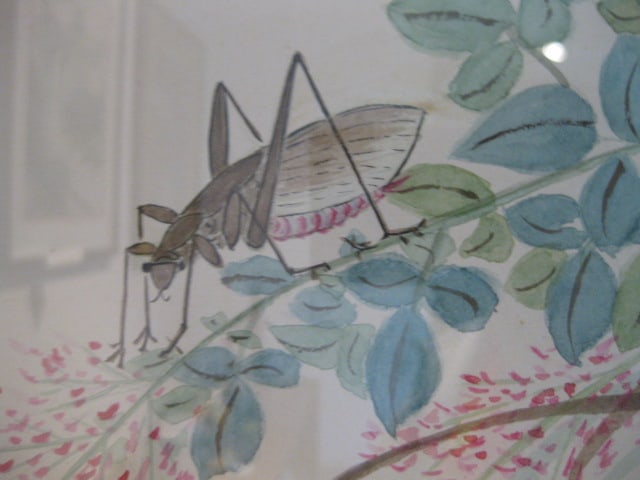 Framed and Mounted Original Cricket and Butterfly Artwork - 3