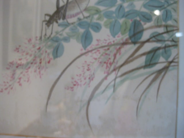 Framed and Mounted Original Cricket and Butterfly Artwork - 5