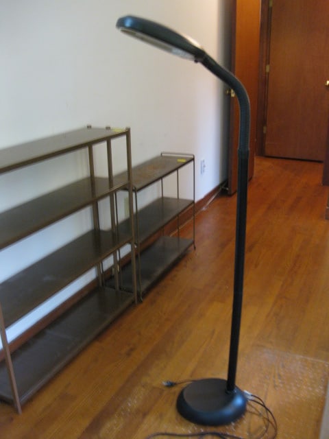 Sunlite Compact Fluorescent Goose Neck Floor Lamp: 50"h, Local Pickup Only