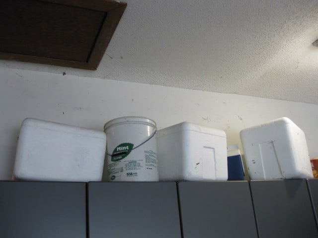 Contents of Garage Storage Cabinets-Light Bulbs, Coolers, Step Stool, Jacks, Cleaners, etc. - 20