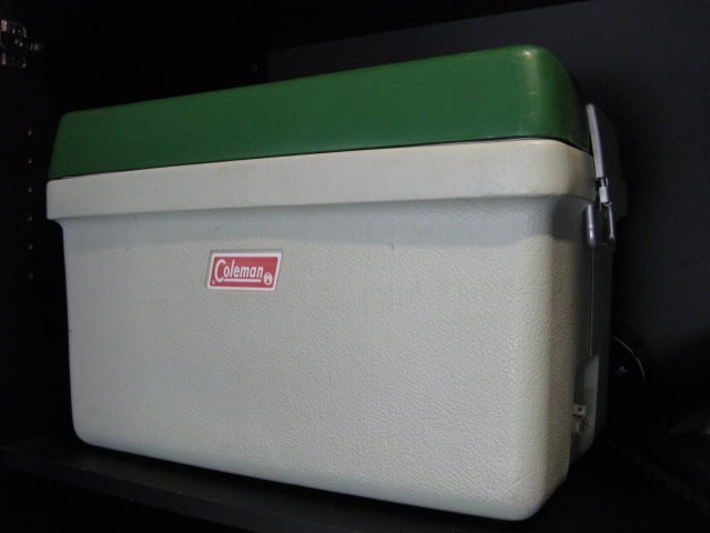 Contents of Garage Storage Cabinets-Light Bulbs, Coolers, Step Stool, Jacks, Cleaners, etc. - 6