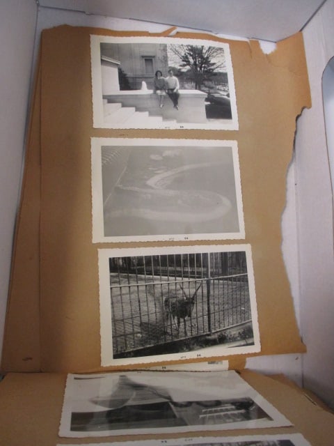Collection of Vintage Scrapbook Pages, Black & White Photographs, and - 9