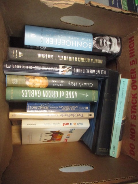 Lot of Hardback and Paperback Novels and Biographies Books - "Jack London",: "Anne of Green Gables", "The Color Purple", etc., see pictures and preview for selection and condition