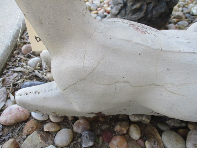 Painted Concrete Resting Deer Statue - 7