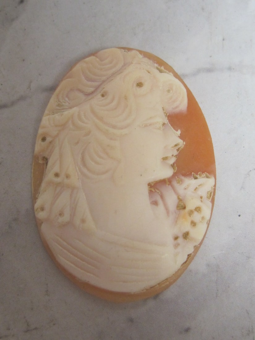 Unframed Carved Cameo: .