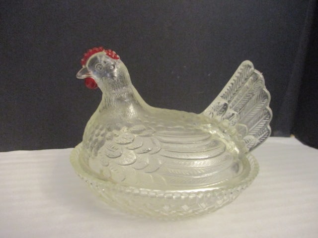 Hen on Nest: .