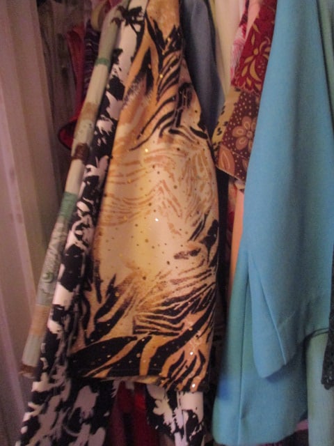 Bedroom Clothes Closet - 5