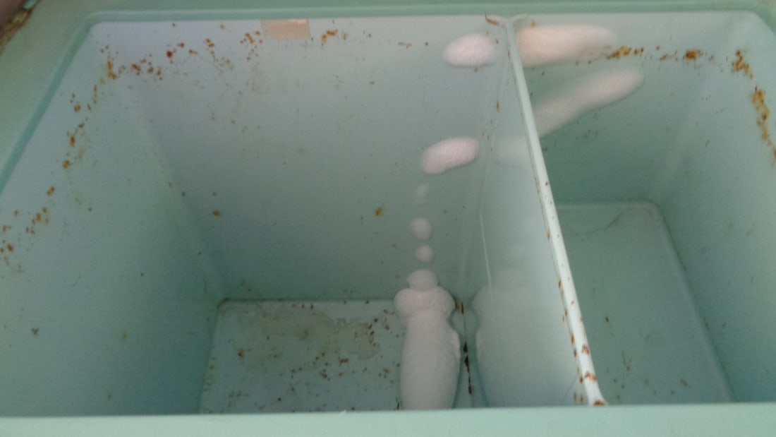 W. Freezer - 3
