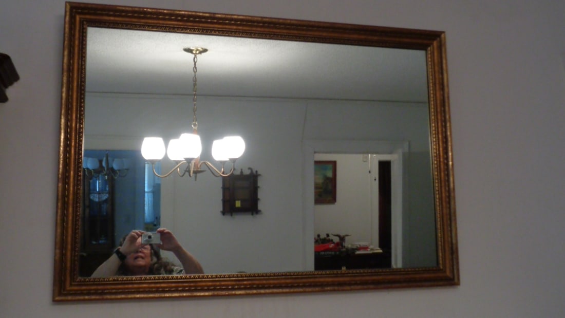 Gold Framed Mirror (1 of 2)