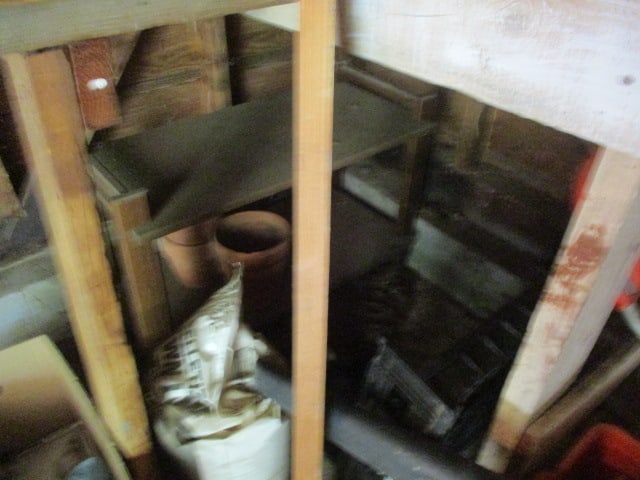 Shelf Lot - 5
