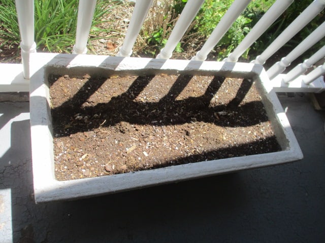 Concrete Scroll Planter - 2