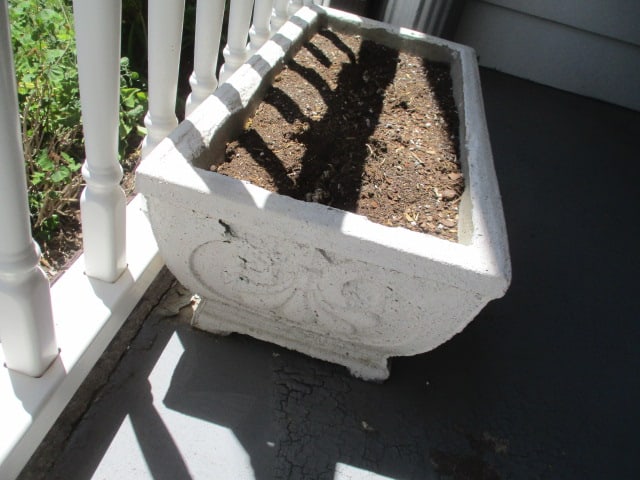 Concrete Scroll Planter - 3