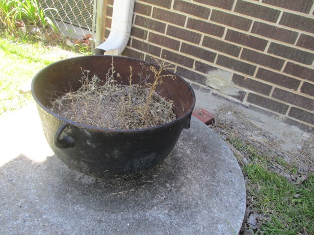 17" Cauldron - 2