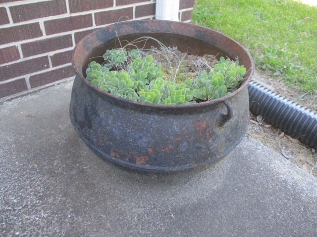 17" Cauldron - 2