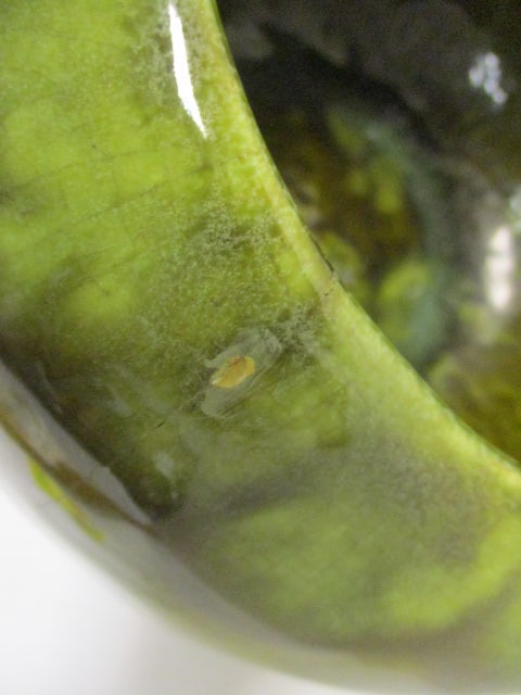 Green & Brown Drip Glaze Planter - 3