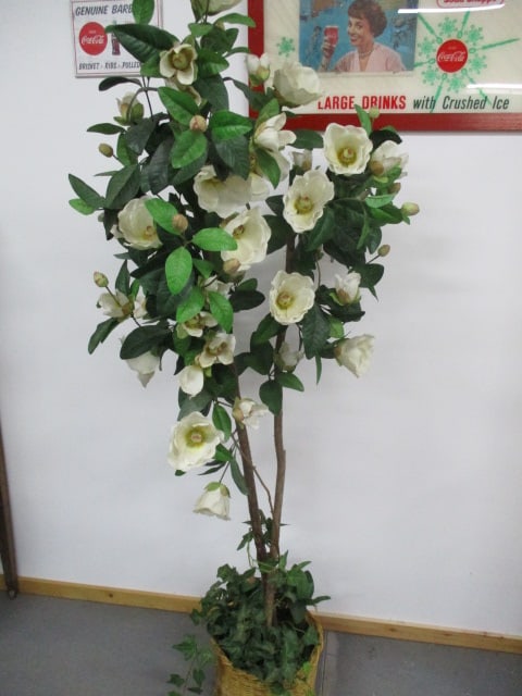 Artificial Magnolia Tree in Woven Basket 78": .