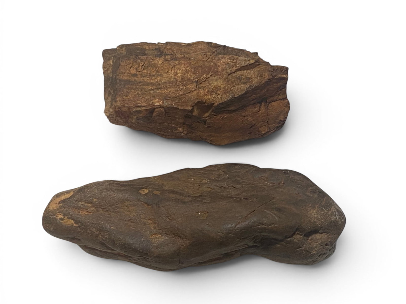 Large Petrified Wood and Unique Clay Rock (1 of 3)