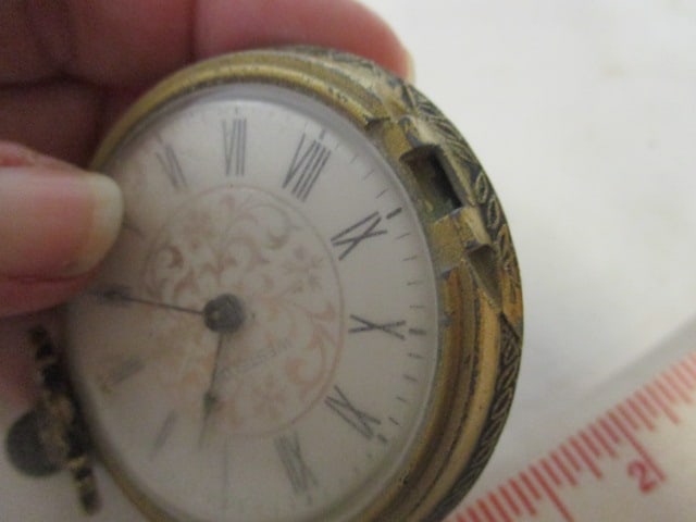 Five Pocket Watches and Cloche Dome - 11