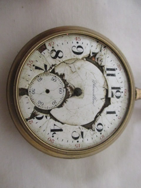Five Pocket Watches and Cloche Dome - 4