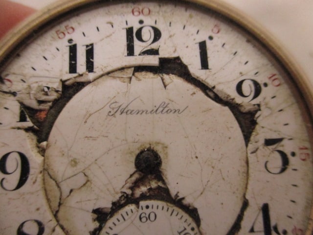 Five Pocket Watches and Cloche Dome - 5