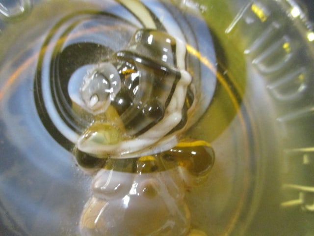 Amber Slag Glass "Willy The Musical Fiddler" in Relief Dish and Miniature Clear Glass - 4