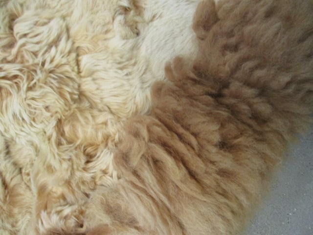 Vintage Long-Haired Animal Hide Rug - 2