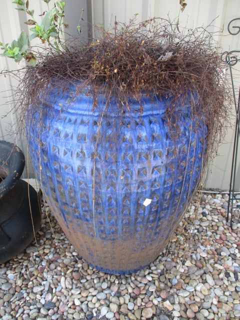 Large Blue Glazed Stoneware Planter with Plant Remains (1 of 3)