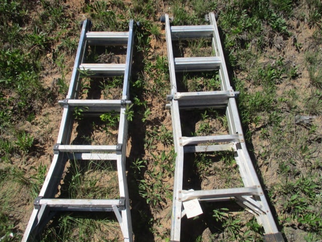 Two Multi-Matic Ladders - 2