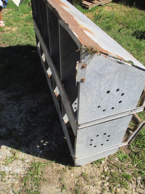 5 Bin Chicken Feeder - 2