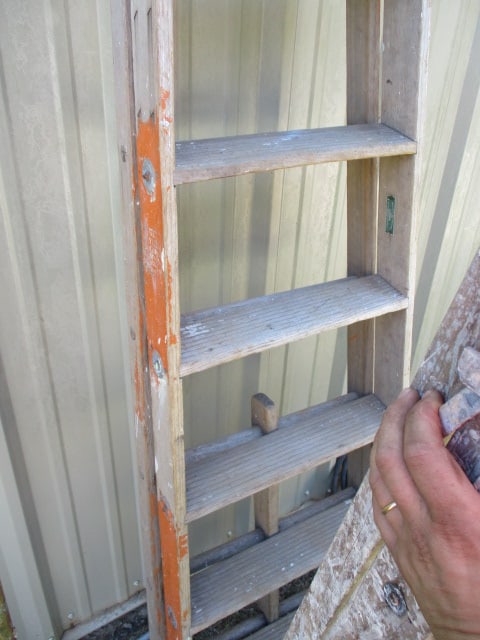 6' and 8' Wood Ladders - 3