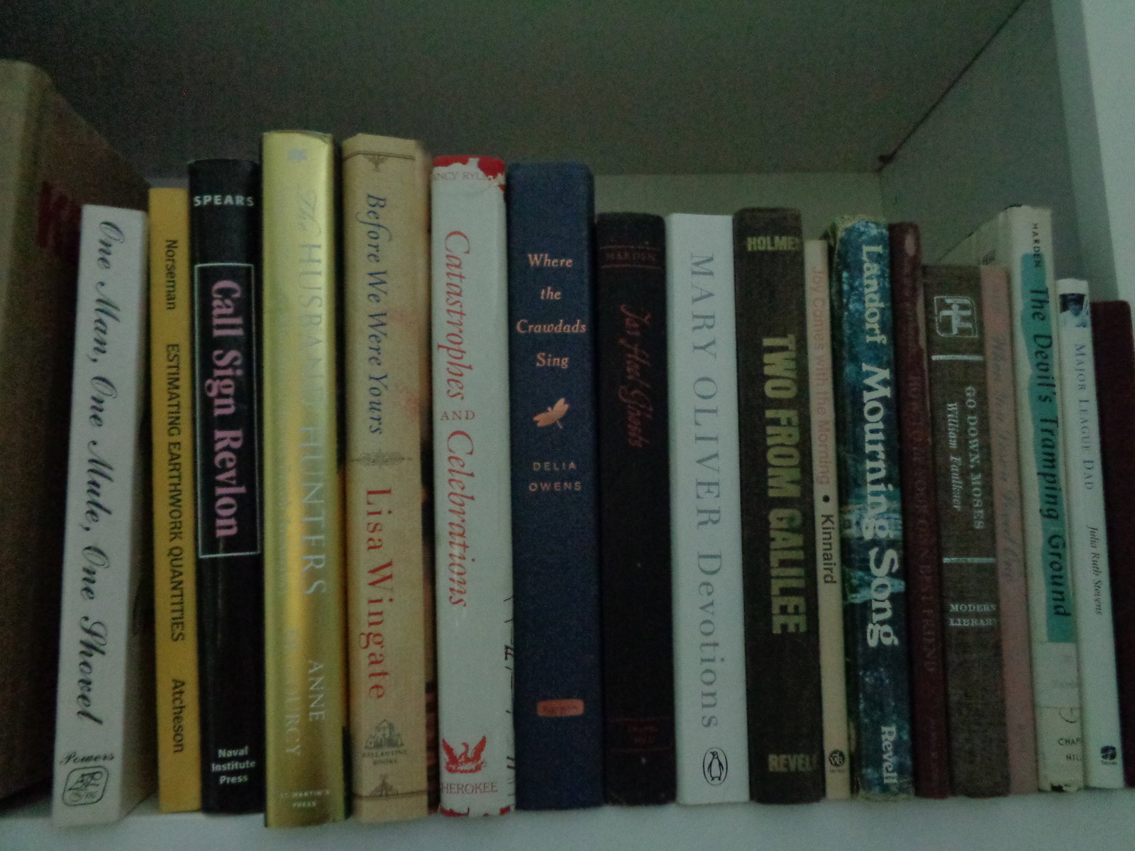 Box Lot Books: See photos for selection