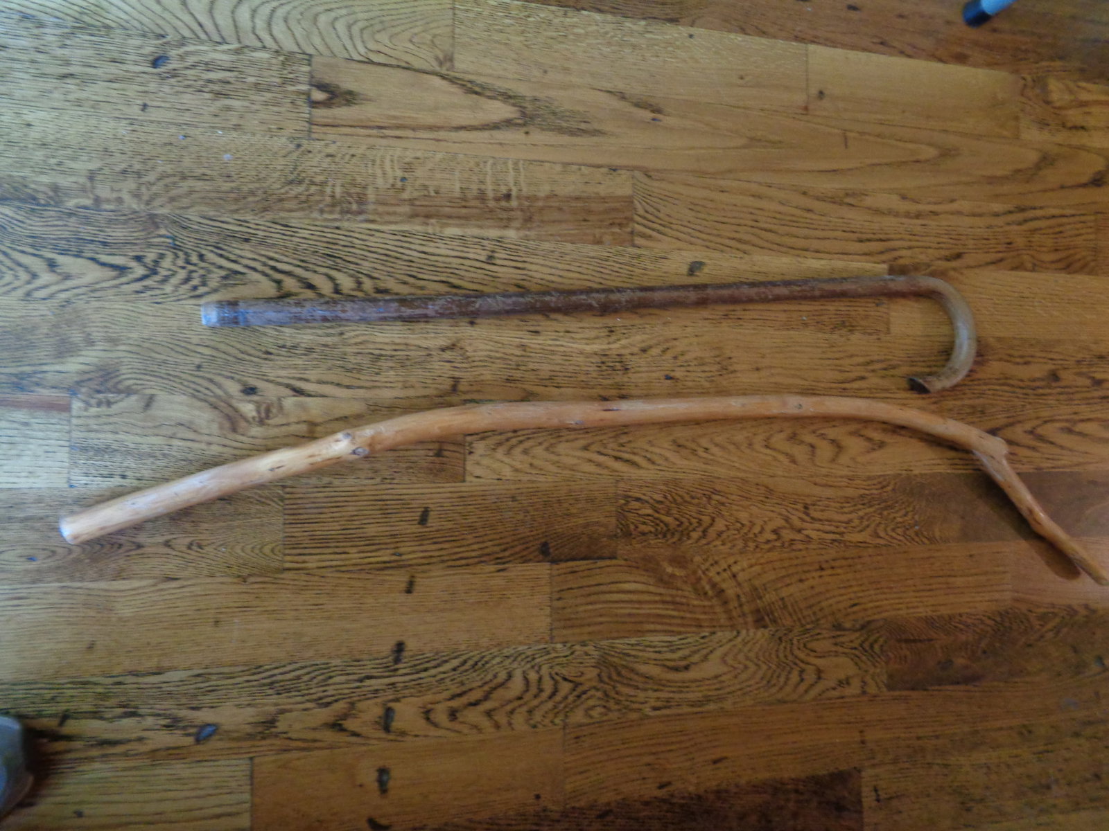 Walking Stick & Cane (1 of 1)