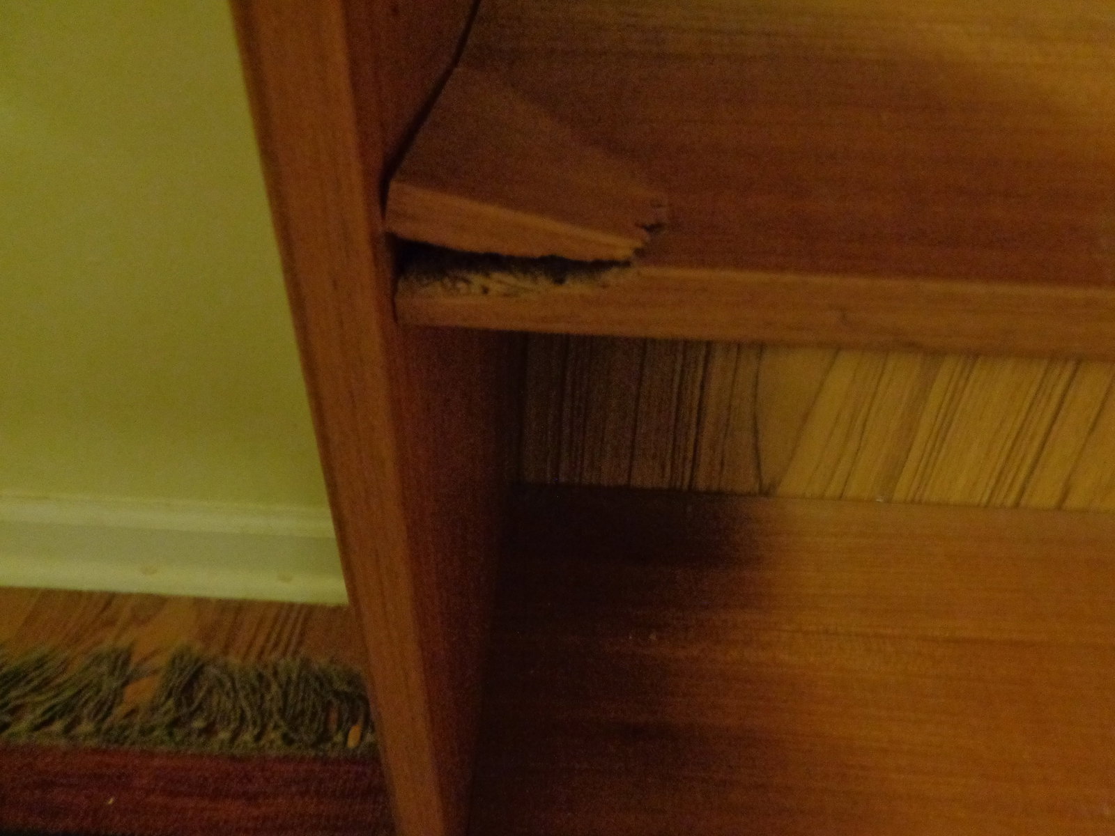 Tall Shelf Unit - 2