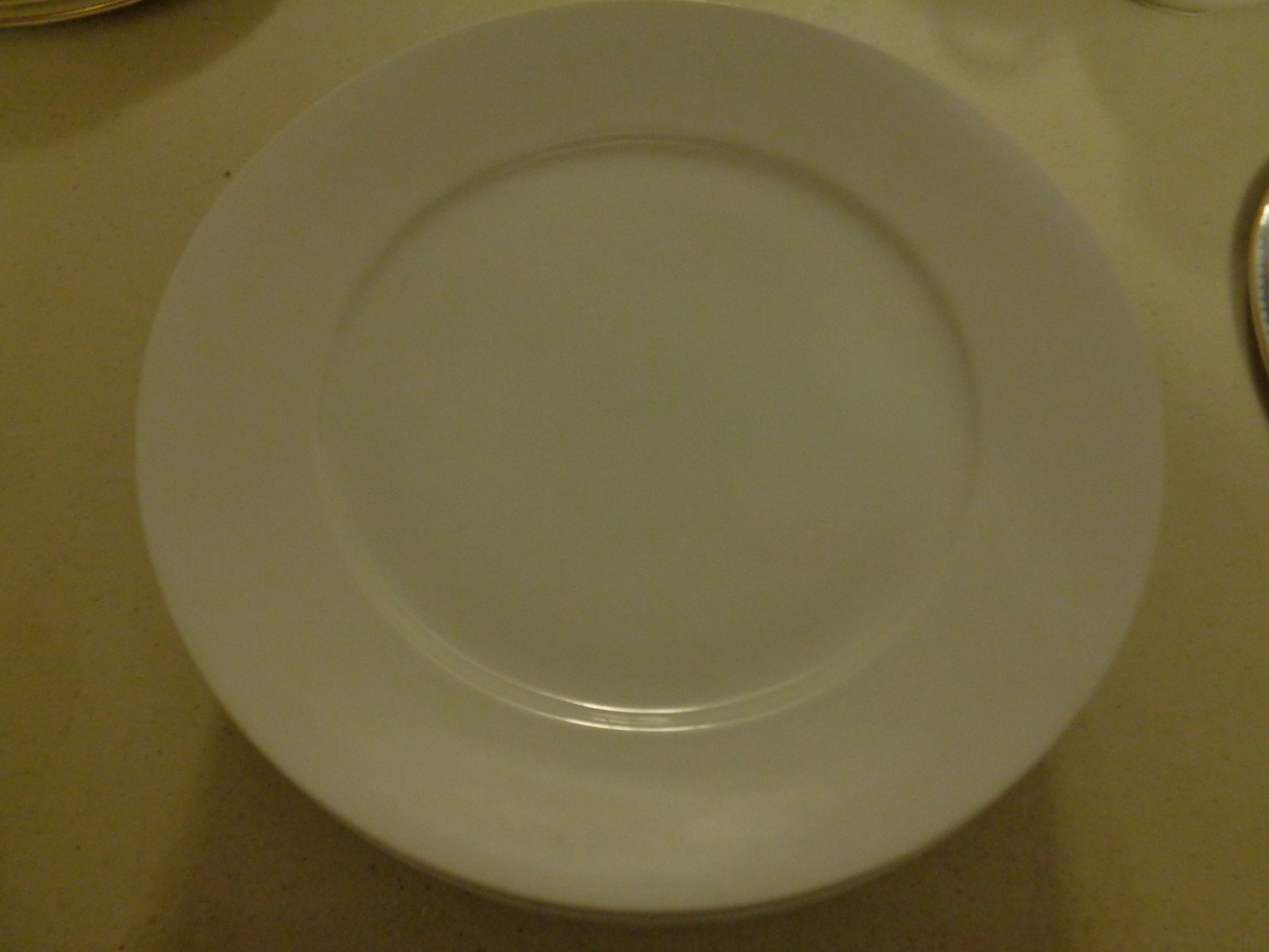 Vintage H&C Selb Bavaria Plates: 7 pieces 9 1/2 inches