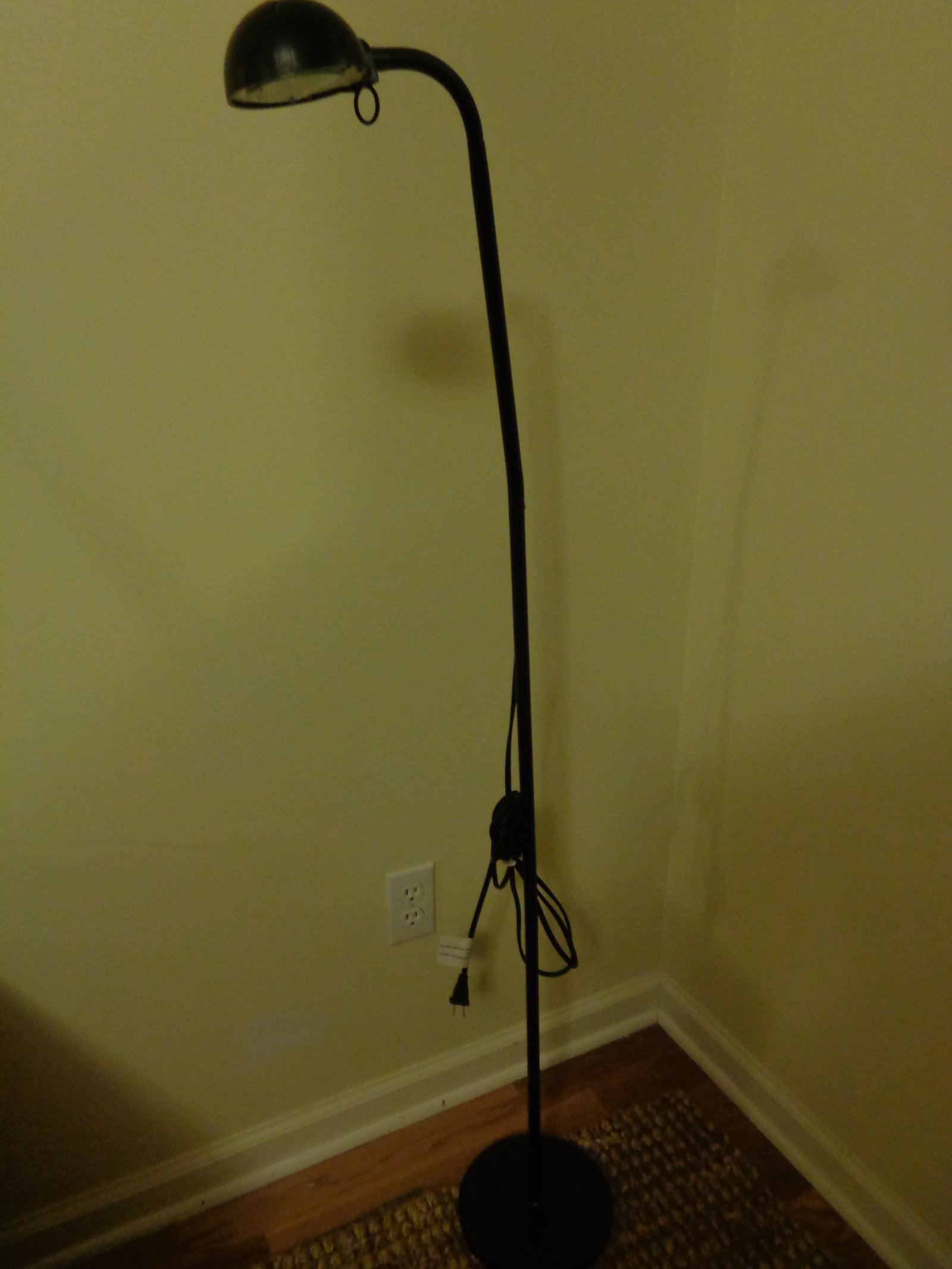 Goose neck Floor Lamp: .