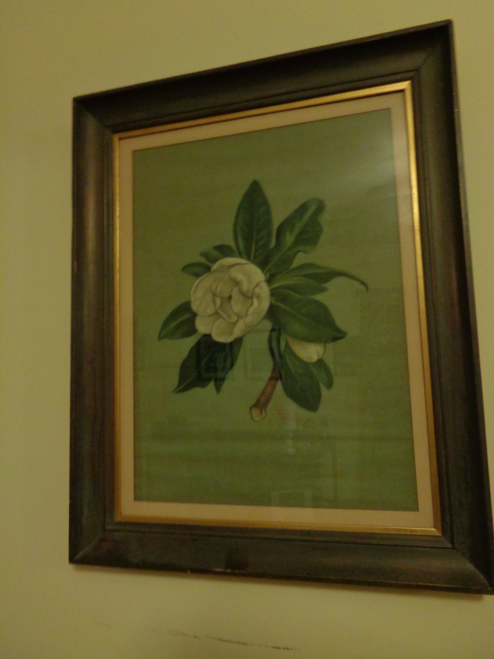 Framed Floral Picture: 4/1945, signed Gene Anderson Wood 23 x 29