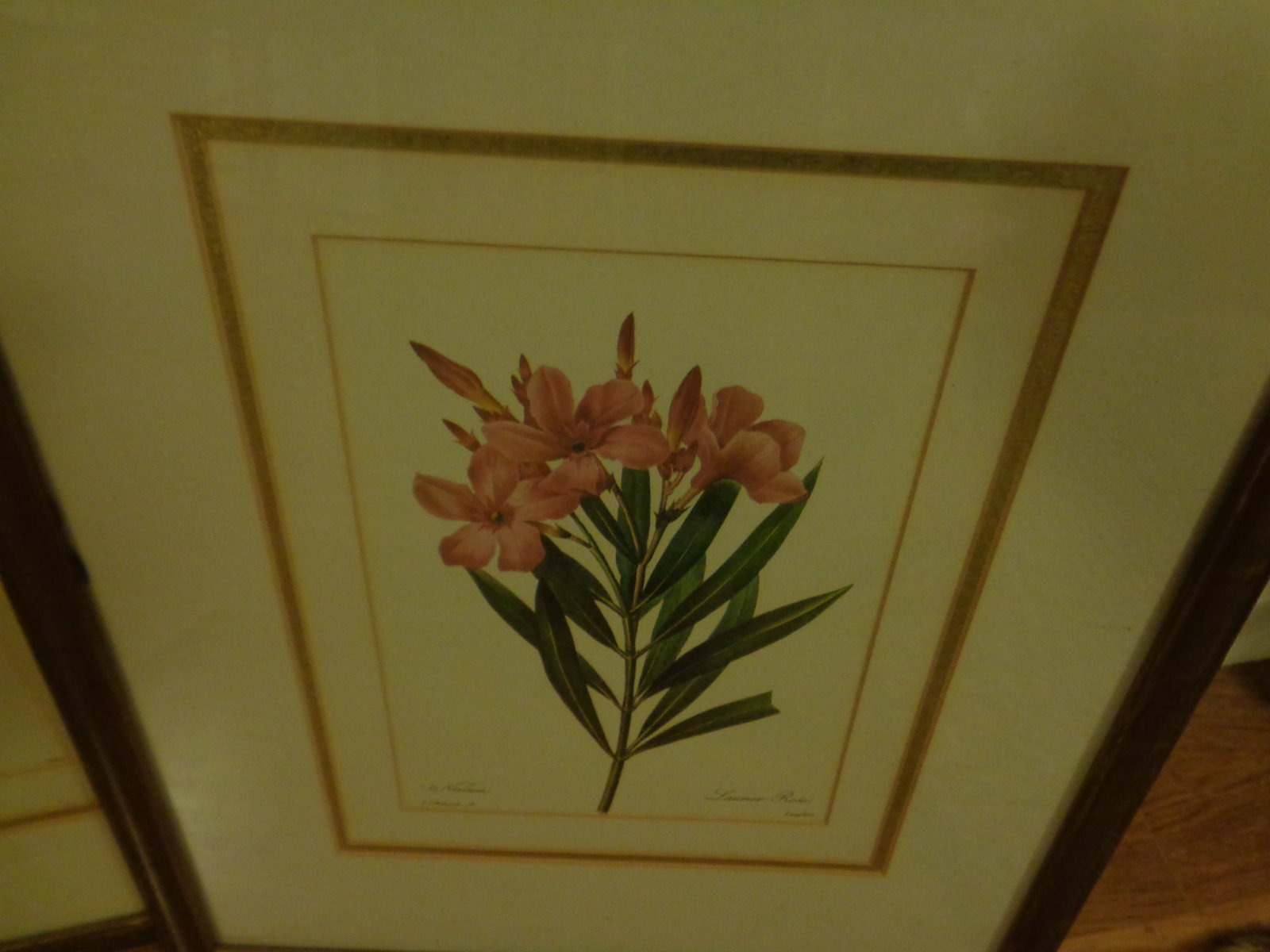 Floral framed Pictures - 2