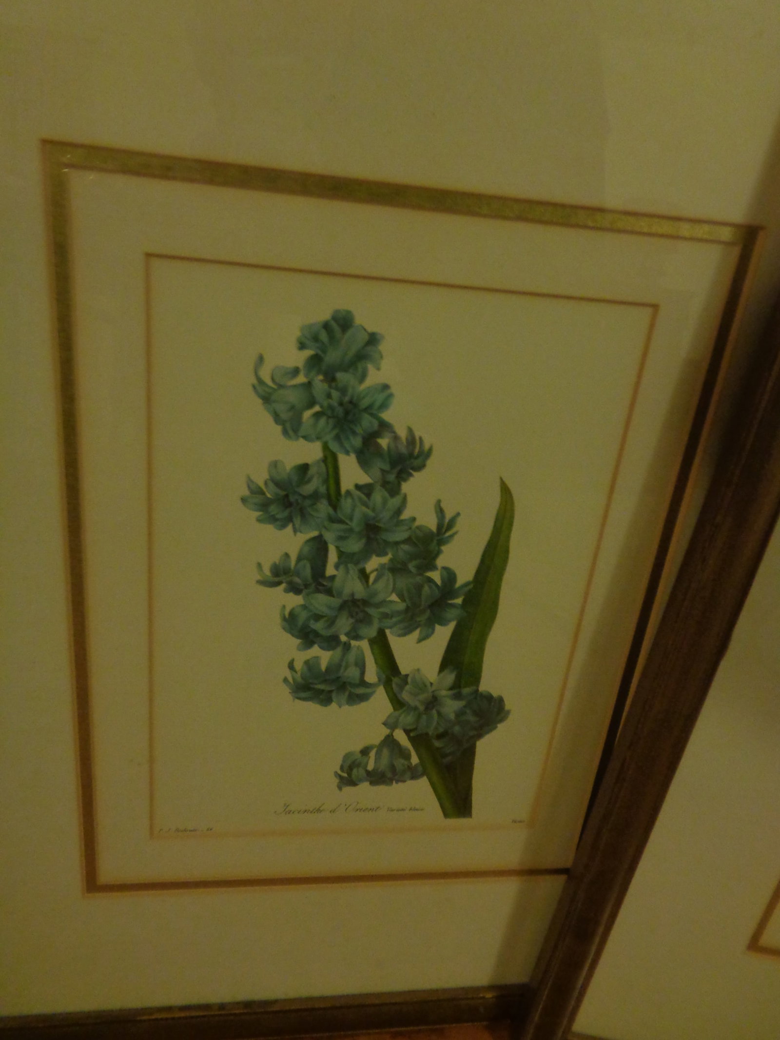Floral framed Pictures - 3