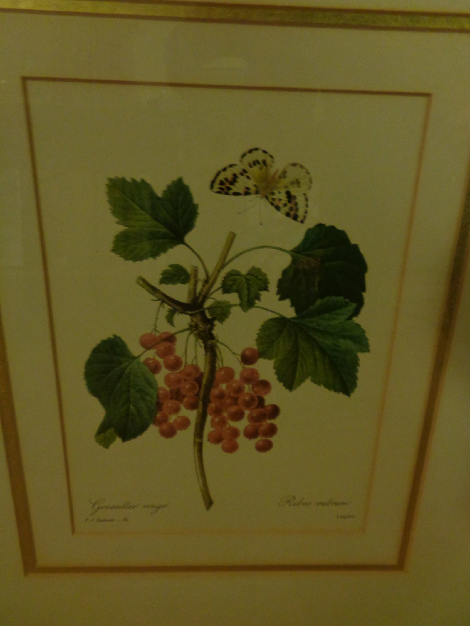 Floral framed Pictures - 4