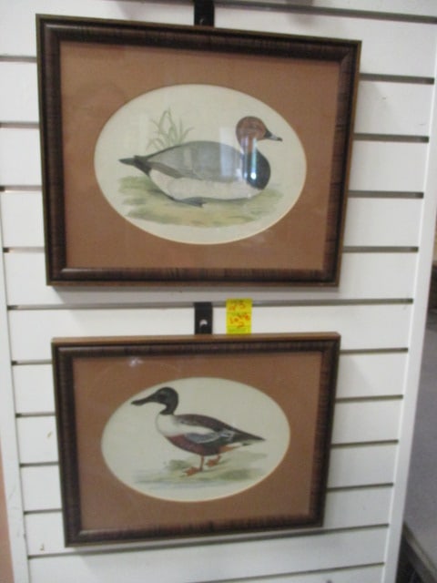Framed and Matted Drake and Hen Canvas Back Duck Lithograph Prints (1 of 7)