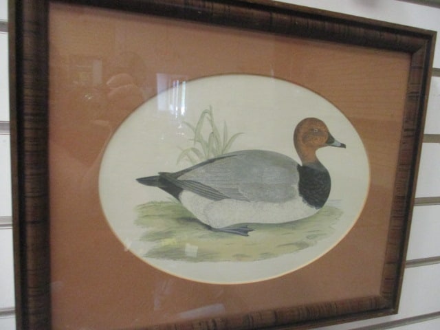 Framed and Matted Drake and Hen Canvas Back Duck Lithograph Prints - 2