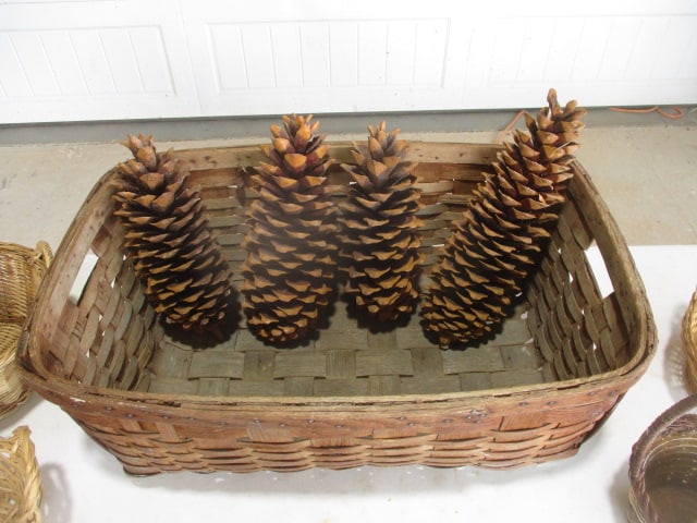 Antique Split Oak Basket (25" x 10" x 15") With Large Pine Cones - 2